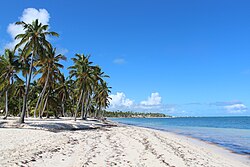 Cabeza de Toro beach, Punta Cana