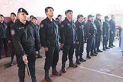 The provincial police of Misiones