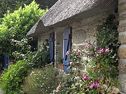 Roses, clematis, a thatched roof: a cottage garden in Brittany.