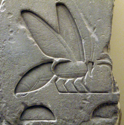 Bee hieroglyph from the tomb complex of Senusret I (d. 1,926 BC)