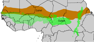 The sahel (brown) and the Sudan (green)