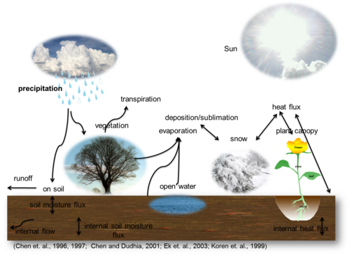 Processes leading to movements and phase changes in water