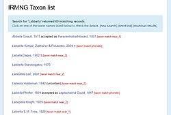 Example "fuzzy" genus search result on IRMNG, December 2023