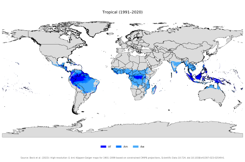 Areas of the world with tropical climates.