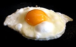 A fried chicken egg, sunny side up