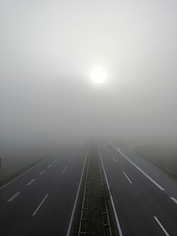 Fog in Serbia