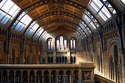 Central Hall of the Natural History Museum, London