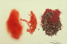 Wool dyed with the scale insect kermes