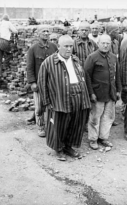 Roll-call of Jewish prisoners (wearing Star of David badges), 20 July 1938