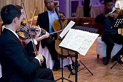 A string quartet in performance. From left to right - violin 1, violin 2, cello, viola