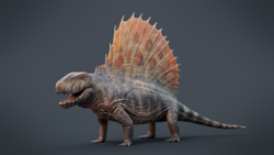 Dimetrodon grandis, a synapsid from the early Permian