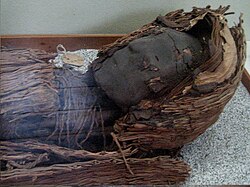 The Chinchorro mummies, the oldest of which are from around 5050 BCE