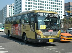 Airport Limousine Bus