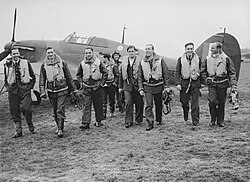 Pilots of the No. 303 "Kościuszko" Polish Fighter Squadron during the Battle of Britain