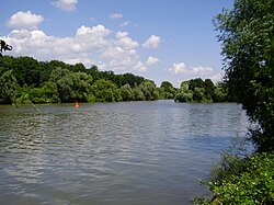 The last of the large tributaries and the overall longest is the Jagst near Bad Friedrichshall Jagstfeld.