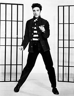 Elvis Presley is the most successful figure to emerge from rock and roll