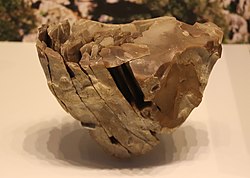 Stone core for making fine blades, Boqer Tachtit, Negev, Israel, c. 40,000 BP