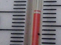 Separated columns are often a problem in both alcohol and mercury thermometers, and they can make a temperature reading inaccurate.