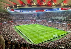 Metropolitano Stadium