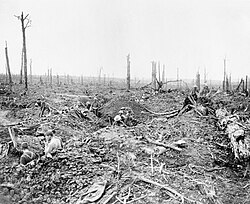 Soldiers digging a communication trench through Delville Wood