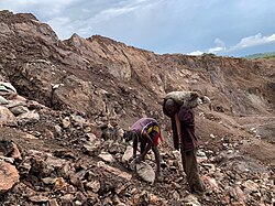 Revenue from mineral exports makes up a large portion of the Democratic Republic of Congo's economy. While Congo is rich in mineral resources, these deposits require extensive manual labor to extract, often under life-threatening conditions. Mining of cobalt is leading to human rights being abused in ways such as unsafe worksites, child labor, and forced Congolese labor, in addition to environmental degradation.