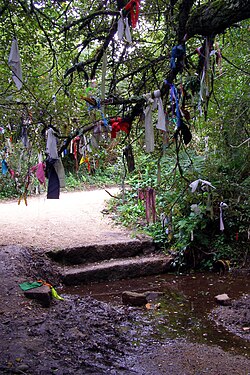 Cloths tied to a tree near Madron Well in Cornwall