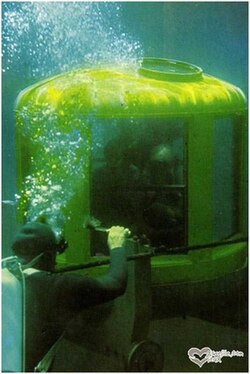 One of the submarines underwater accompanied by a frogman