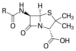Penicillin, discovered by Alexander Fleming in 1928