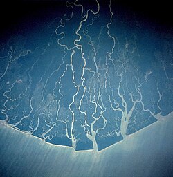 Overflight photo of the creeks of the Niger Delta