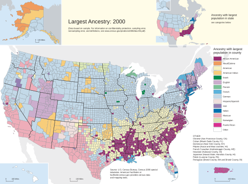 2000 Census Population Ancestry Map, with African-American ancestry in purple.