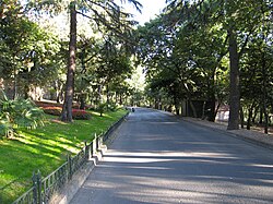 Yıldız Park connects Yıldız Palace to Çırağan Palace