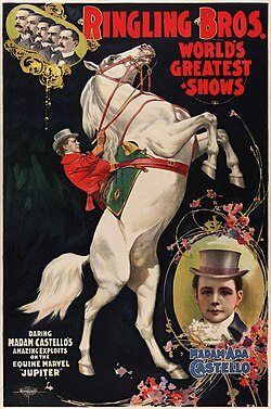 Poster for Ringling Brothers (c. 1899) featuring Madam Ada Castello and her horse, Jupiter