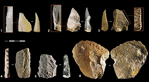 Lithic Industries of early Homo sapiens at Blombos Cave (M3 phase, MIS 5), Southern Cape, South Africa (c. 105 – 90 Ka)