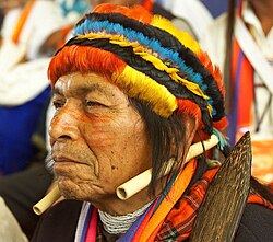 Pwanchir Pitu, Achuar shaman