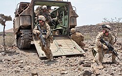 U.S. Marines dismounting from an Assault Amphibious Vehicle in Djibouti