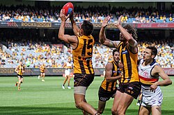 An uncontested overhead mark taken by Luke Hodge in a 2017 AFL game between Hawthorn and Adelaide