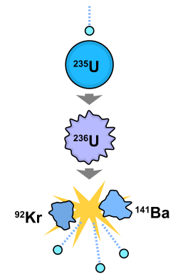 In nuclear fission, the nucleus of a fissile atom (in this case, enriched uranium) absorbs a thermal neutron, becomes unstable and splits into two new atoms, releasing some energy and between one and three new neutrons, which can perpetuate the process.