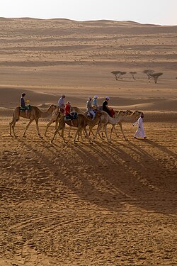 Sharqiya Sands