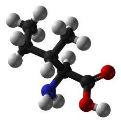The L-isoleucine molecule, C6H13NO2, showing features typical of organic compounds. Carbon atoms are in black, hydrogens gray, oxygens red, and nitrogen blue.