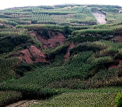 Erosion gulleys on unterraced hill farm in Yunnan Province