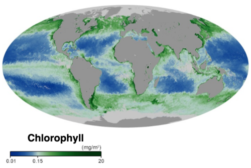 Ocean chlorophyll concentration is a proxy for, or an indicator of, the distribution and abundance of phytoplankton. The intensity of green indicates how abundant the phytoplankton are, while blue indicates where there are few phytoplankton. – NASA Earth Observatory, October 2019.[6]