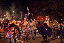 Southdowns Mardi Gras parade, 2014