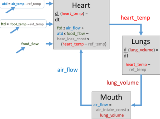 Temperature regulation: Leroi's model based on Youth and Old Age, Life and Death 26.[11][12]
