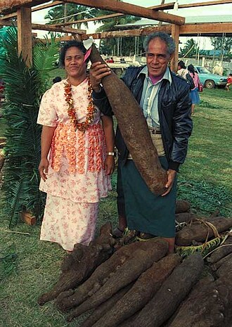 The farmer's wife wears a kiekie knitted from plastic rope. The round shapes are known as vana (sea-urchins)