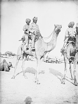 Bikaner Camel Corps, El Arish 1918