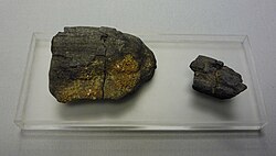 Charcoal fragments, similar to those used in dating Devil's Lair