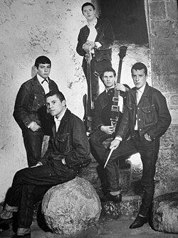 Pop music group The Animals