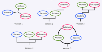 Alternative versions of the three domains of life's phylogeny