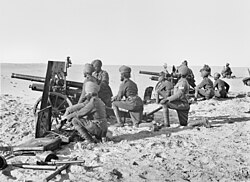 The Imperial Camel Corps Brigade artillery battery that supported the division at Amman