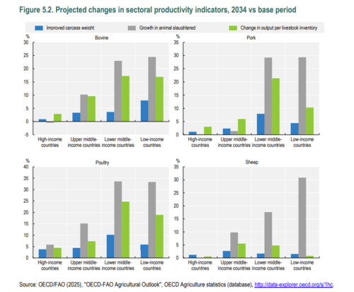 A graph showing the projected grow of meat industries for 2025-2034 from FAO/OECD